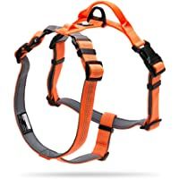 Los mejores  - Arnés para Perro H Grandes Medianos Pequeños Transpirable Reflectante Suave Acolchado Impermeable Ajustable para…